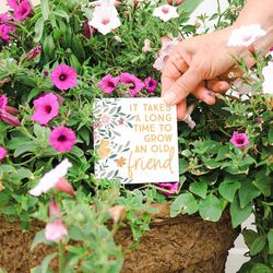 Sincere Surrounding Multicolored Wood/MDF 5.75 in. H X 0.5 in. L X 4 in. W Planter Stake