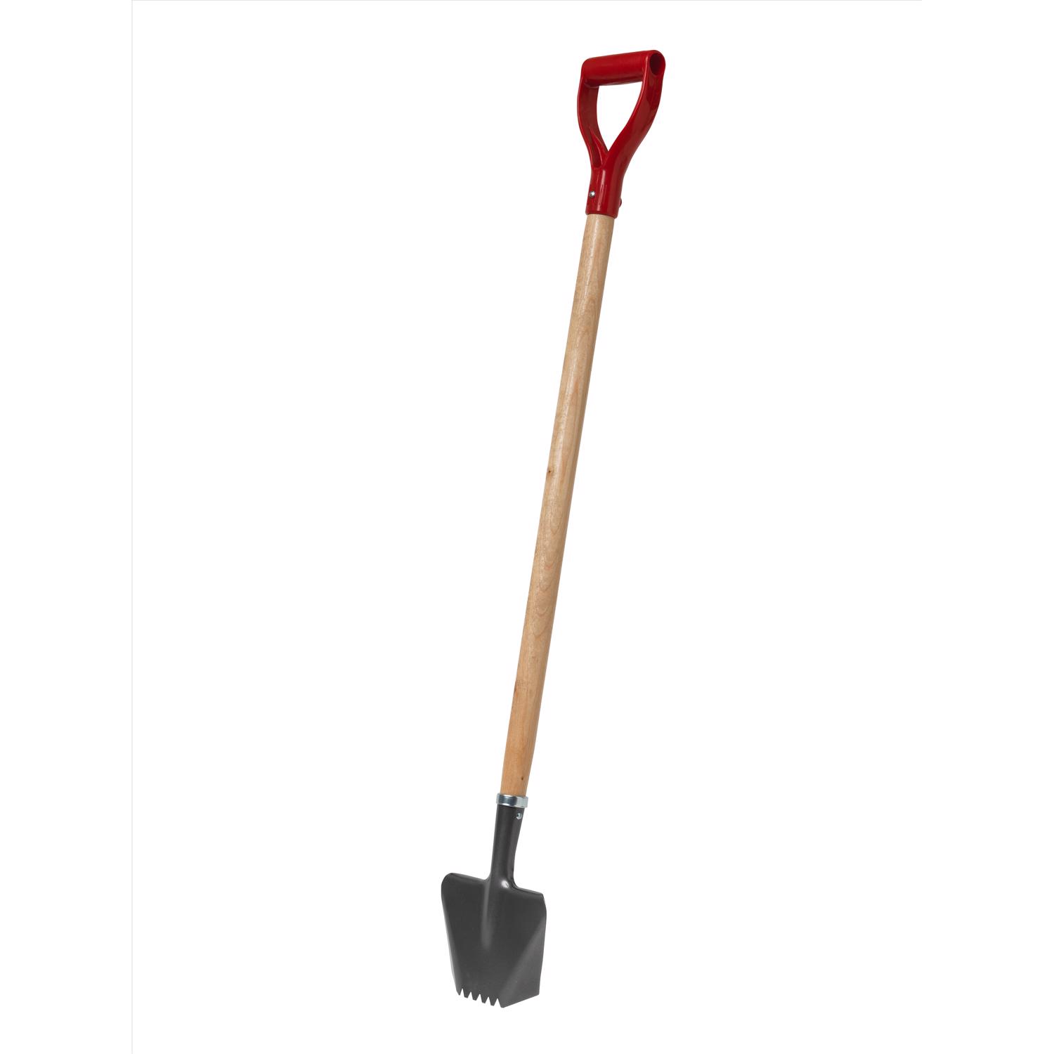 image-2