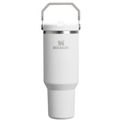 Stanley IceFlow Flip Straw 2.0 40 oz Frost BPA Free Insulated Straw Tumbler