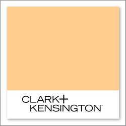 Clark+Kensington Acorn Squash 15C-4