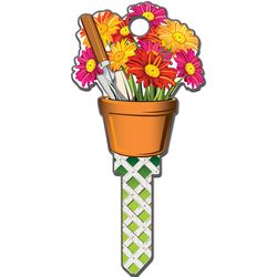 Lucky Line Key Shapes Gardening House Key Blank Single For Schlage Multicolored