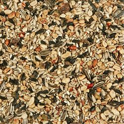 Kaytee Nut &amp; Fruit Blend Wild Bird Food 5 lb