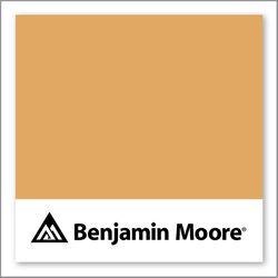 Benjamin Moore Old Gold 167