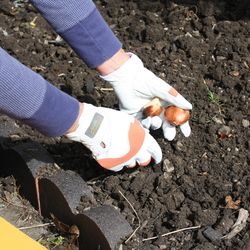 Midwest Quality Gloves Max Performance M Goatskin Leather/Spandex Orange/White Gardening Gloves