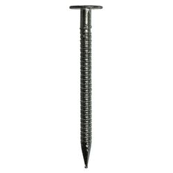 Grip-Rite 1-3/8 in. Drywall Bright Steel Nail Flat Head 1 lb