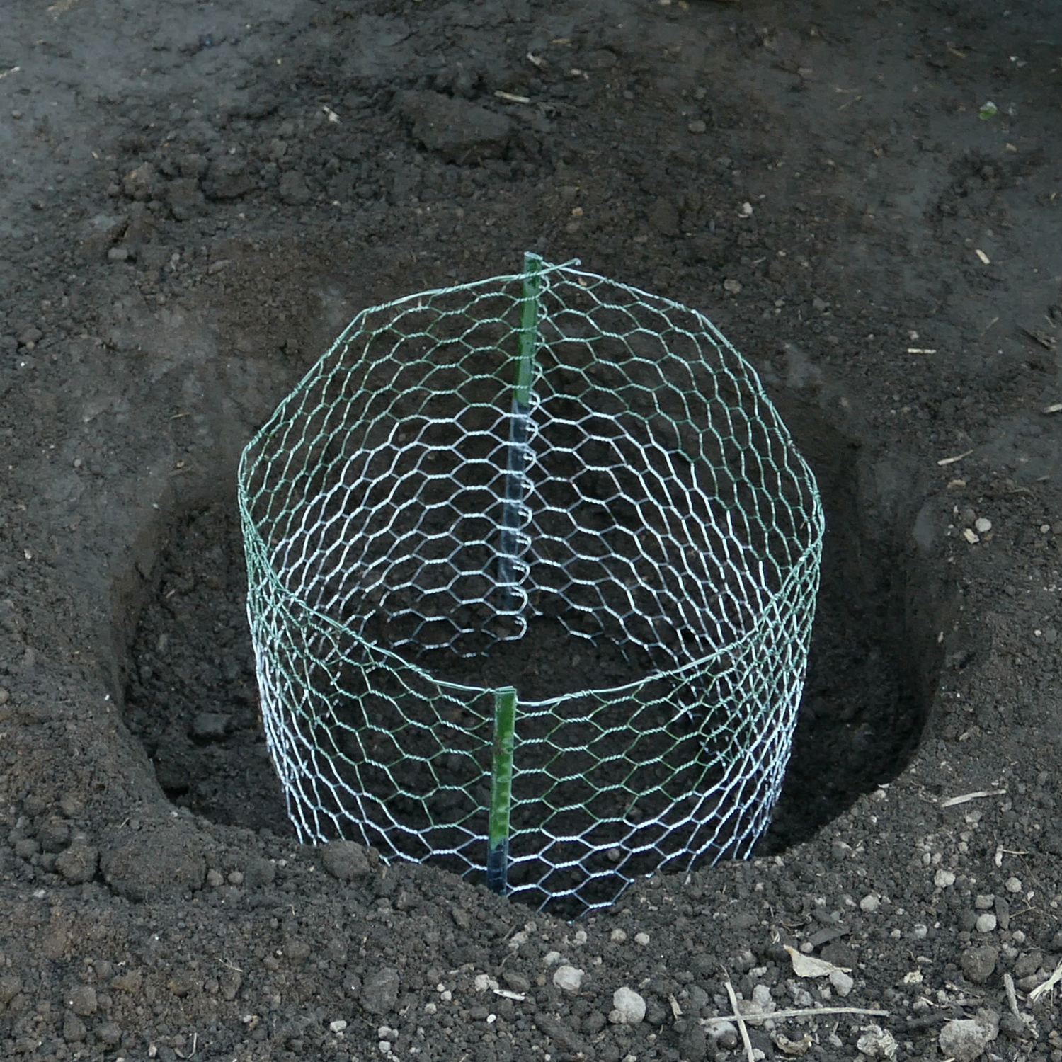image-4