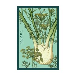 Chive Shido Seed Co. Fennel Seeds 1 pk