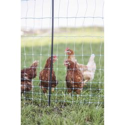 Starkline 42 in. H X 164 ft. L Metal/Polyethylene Electric Netting Blue