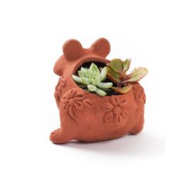 Matr Boomie 3.5 in. H X 3.75 in. W X 5 in. D Clay Frog Planter Terracotta