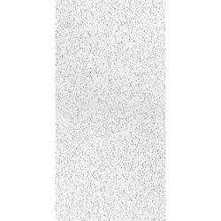 USG Ceilings 220 Fifth Avenue 48 in. L X 24 in. W 0.625 in. Square Edge Ceiling Tile 1 pk