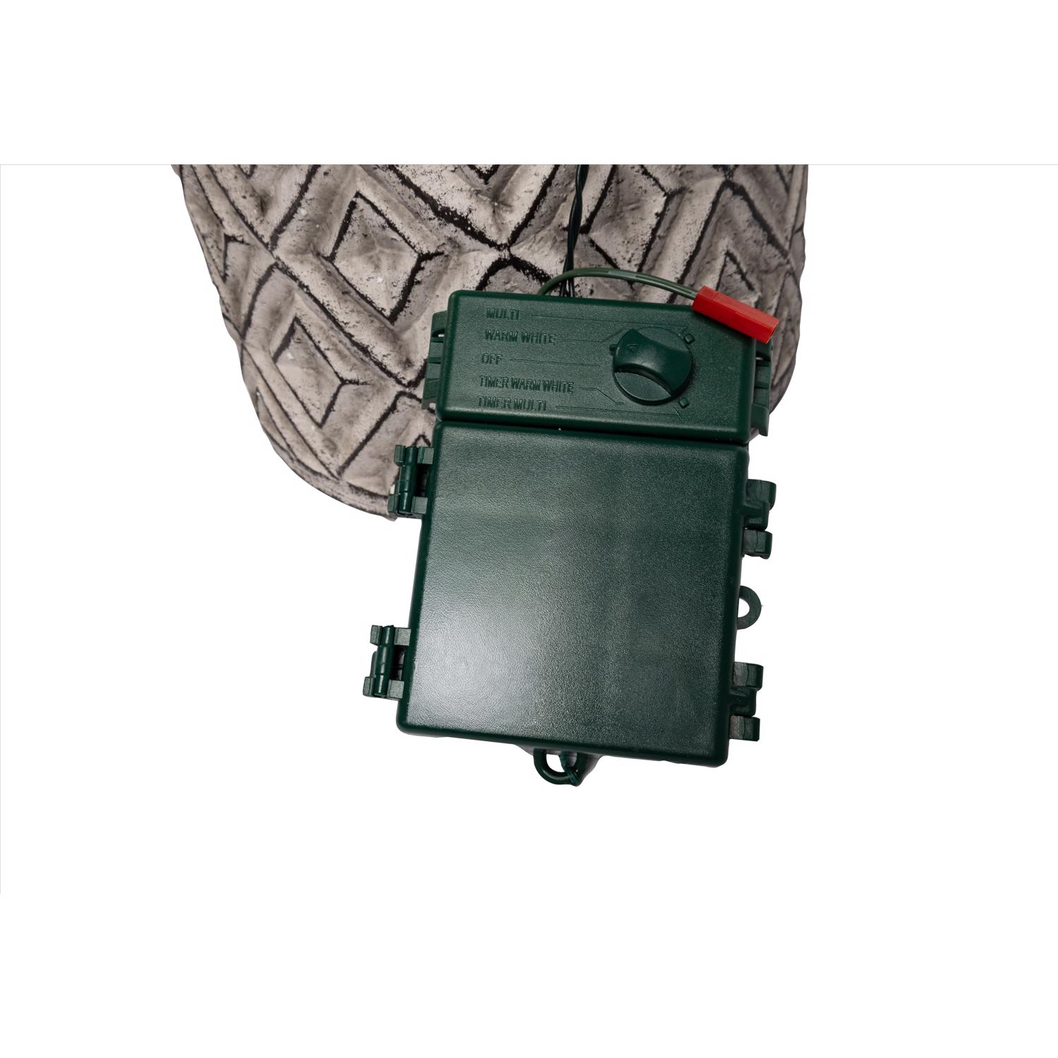 image-7
