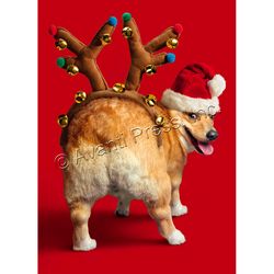 Avanti Press Greeting Card
