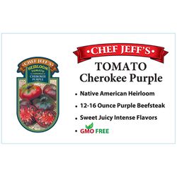 Chef Jeff Purple Heirloom Cherokee Tomato Vegetable Plant