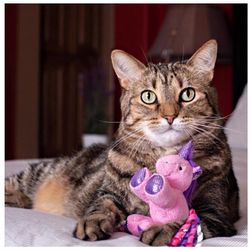 Multipet For Cat Assorted Plush Unicorn Cat Toy 1 pk