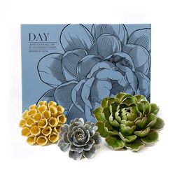 Chive Ceramic Flowers 2.9 in. H X 13.3 in. L Glazed Assorted Ceramic Day Box Set