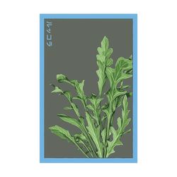 Chive Shido Seed Co. Arugula Seeds 1 pk