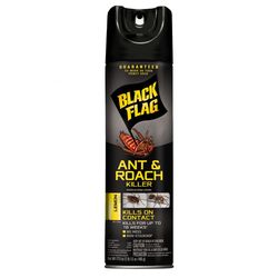 Black Flag Ant and Roach Killer Aerosol 17.5 oz