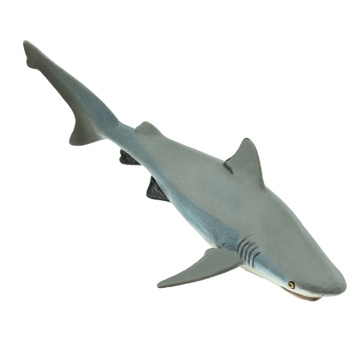 image-3
