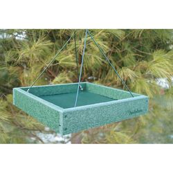 Audubon Woodlink Wild Bird Plastic Platform Bird Feeder
