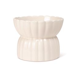 Pet Shop by Fringe Studio Ivory Ceramic 1.5 cups Pet Bowl For Dogs
