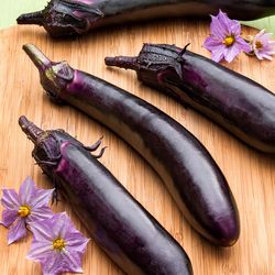 Bonnie Plants Eggplant Plastic Vegetable Plant