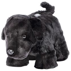 Carstens Inc 6 in. H X 12 in. L Black Polyester Coin Bank