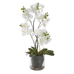DW Silks 24 in. H X 9 in. L Polyester White Phael Orchids in Glass Bowl