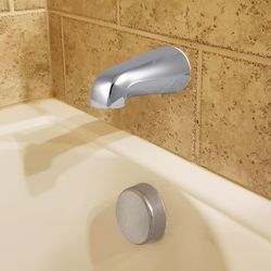 Danco Tub Spout