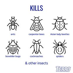 TERRO Ant Killer Liquid 19 oz