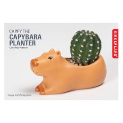 Kikkerland 4.5 in. H X 2.5 in. W X 2.5 in. D Porcelain Planter Brown