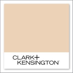 Clark+Kensington Cake Crumbs 17A-2