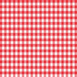 Magic Cover Red/White Checkered Vinyl Disposable Tablecloth 90 in. 52 in.