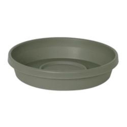 Bloem Terra 1.75 in. H X 9.25 in. W X 8 in. D Plastic Traditional Plant Saucer Basil