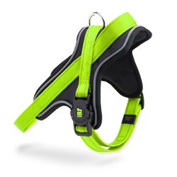 MyFamily Memopet Green Polyester Dog Harness Large
