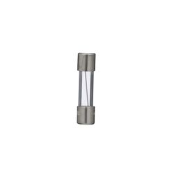 Bussmann 0.25 amps Fast Acting Glass Fuse 2 pk