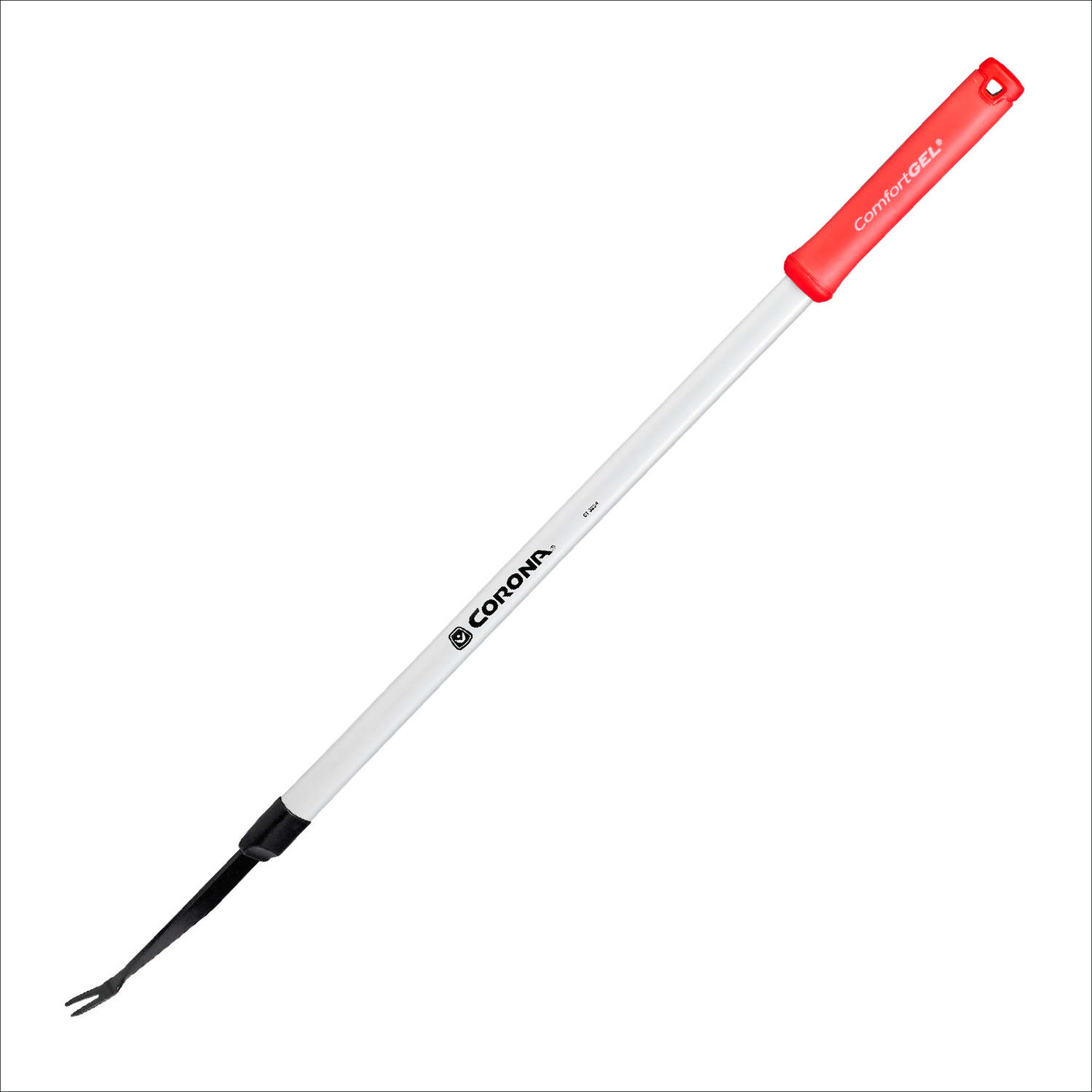 image-2