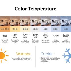 Philips LED Cool White 96 in. G5 T8 Linear 60 Watt Equivalence 2 pk