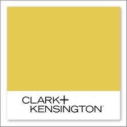 Clark+Kensington Cymbidium Orchid 23C-5