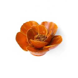 Chive France 1.97 in. H X 4.13 in. L Glazed Orange Ceramic Lotus Wall Flower