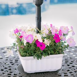 Savannah Planter 5.5 in. H X 13 in. W X 13 in. D Plastic Umbrella Planter White