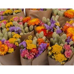 Dutch Flower House Market More Assorted Mix Bouquet Dried Flowers