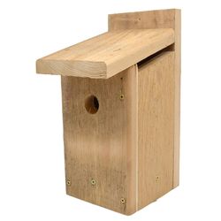 Songbird Essentials 12 in. H X 5 in. W X 6 in. L Red Cedar Bird House