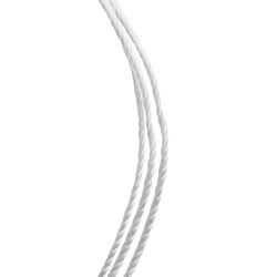 Koch Industries 185 ft. L White Twisted Polyester Mason Line