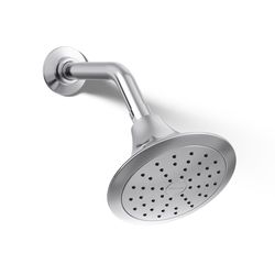 Kohler Forte Polished Chrome Plastic 1 settings Showerhead 1.75 gpm
