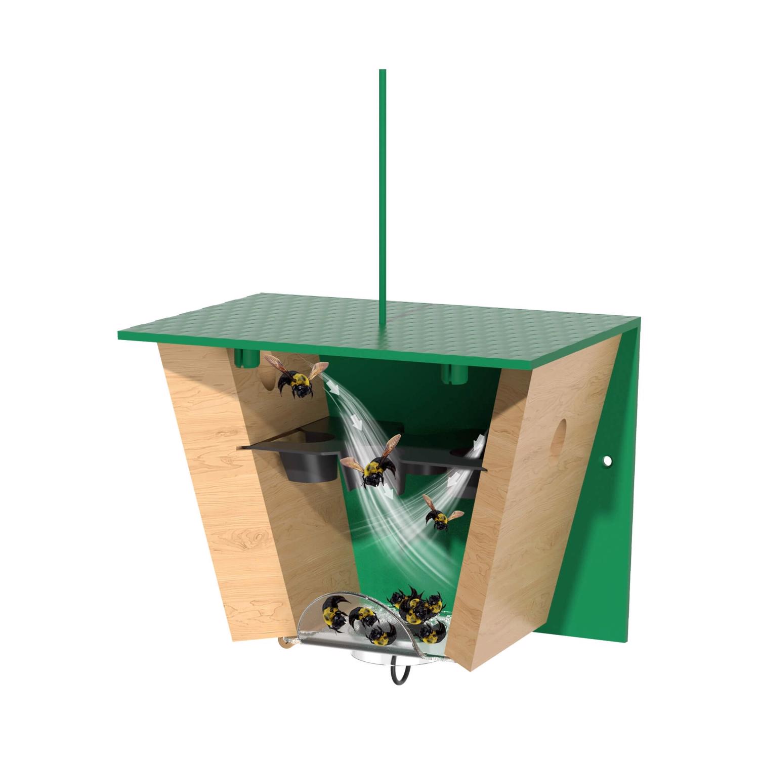 image-7