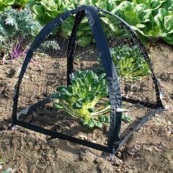 NuVue PestGuard 25 in. L X 25 in. W 1 pk Plant Protector