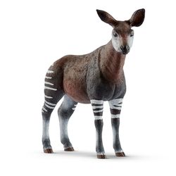 Schleich Wild Life Okapi Toy Multicolored