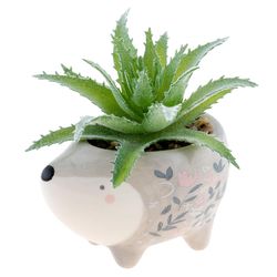 Karma 2 in. H X 2 in. L Multicolored Ceramic Succulent Pot