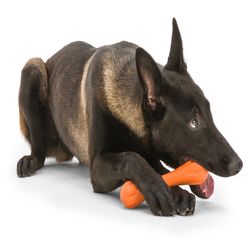 West Paw Zogoflex For Dog Orange Plastic Hurley Bone Chew Dog Toy Large 1 pk