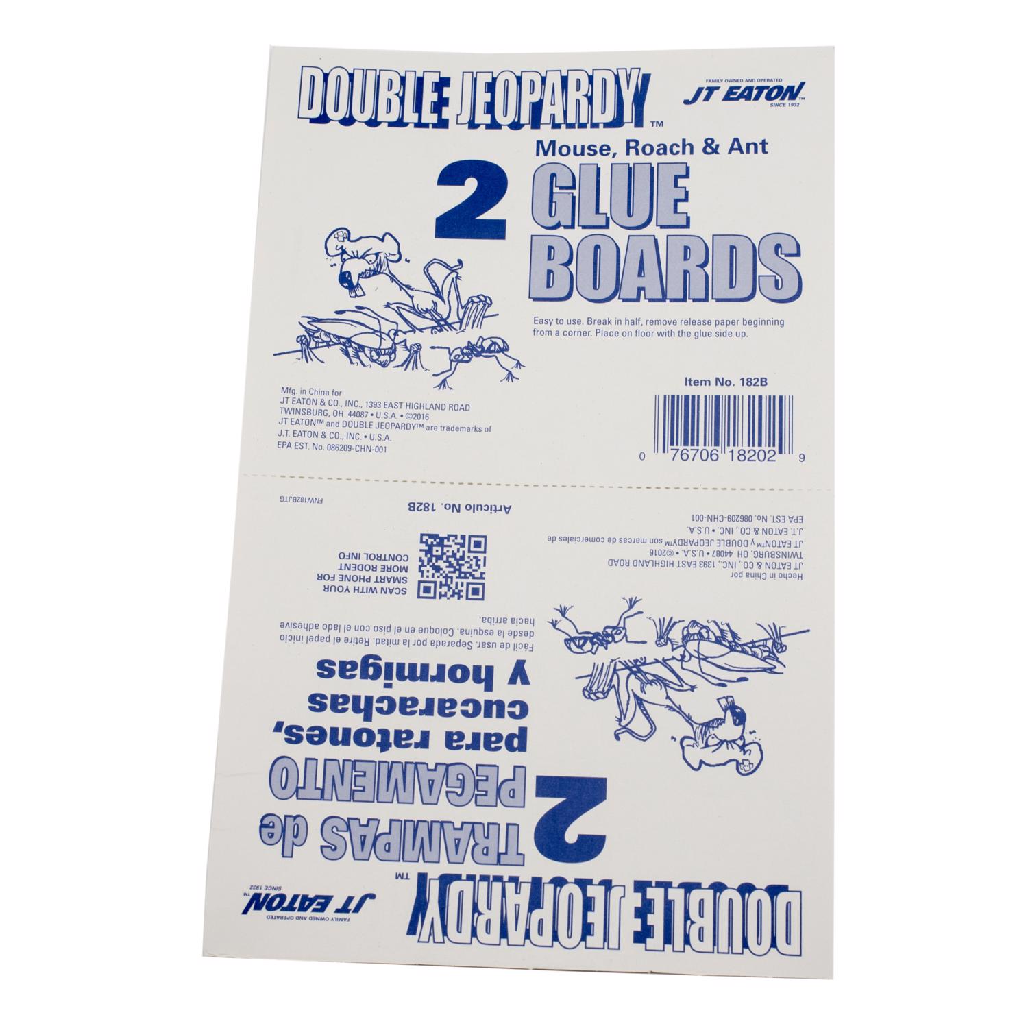 image-2